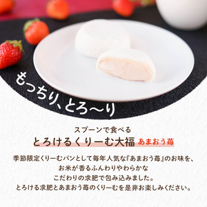 メロンパン クリーム大福 空の駅 オーチャード＆八天堂 商品 詰め合わせ セット 大福 あまおう 苺 菓子パン おやつ スイーツ デザート 冷凍