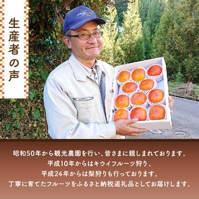 ふるさと納税 橋本市 【2026年度発送分】国城観光農園の紀の川柿11〜12個(2L〜3Lサイズ) |  | 03
