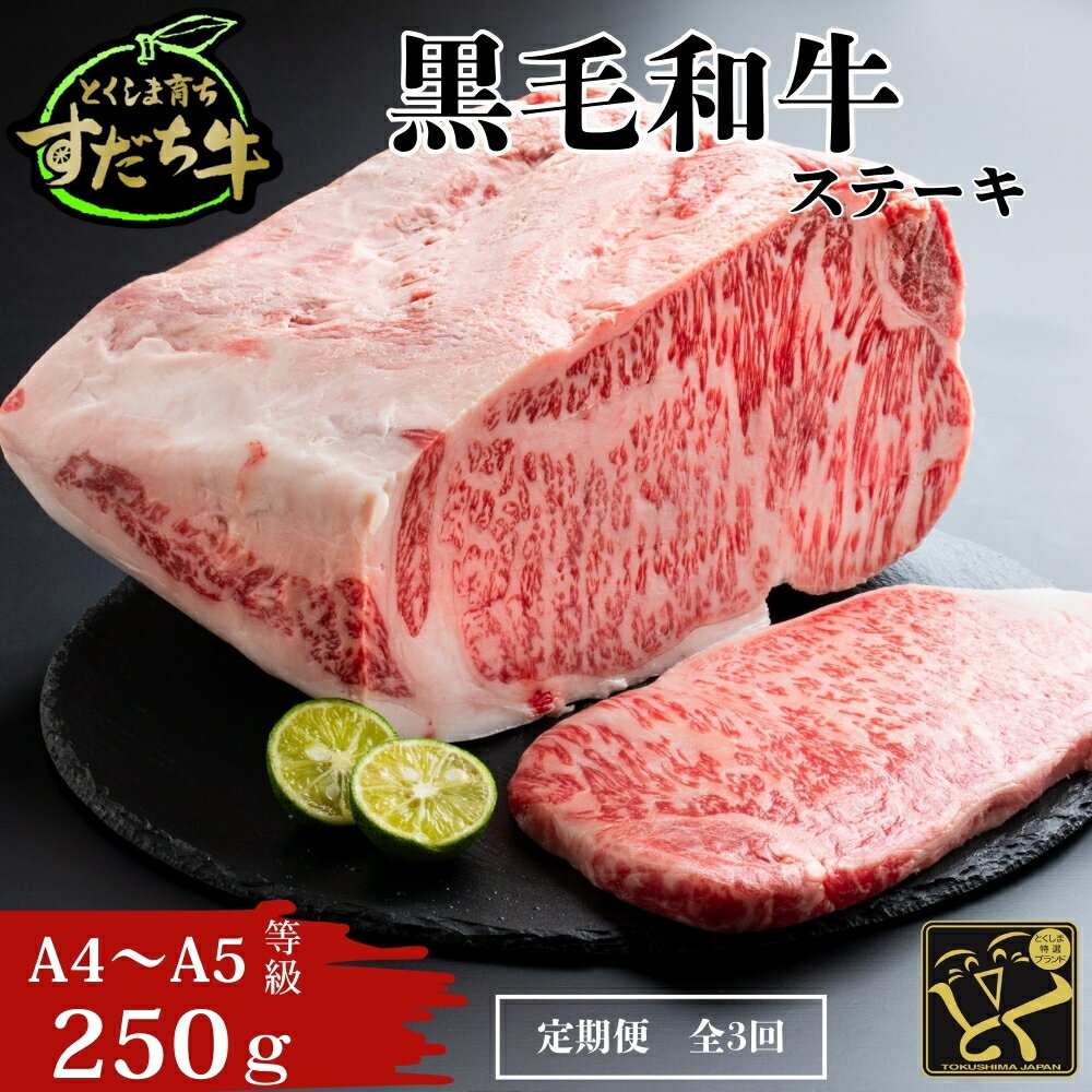 【ふるさと納税】 黒毛和牛 すだち牛 250g ステーキ用 定期便 3回お届け 計750g 赤身 国産 牛肉 冷凍 お肉 グルメ ギフト 和牛 霜降り カット 小分け