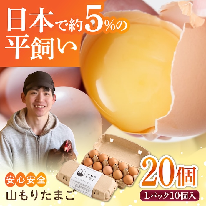 【家族に食べさせたい】平飼い 山もりたまご 20個 安心安全 おいしさに感動 たまご 卵 高級卵 平飼い 安心安全 飼料にこだわり 成長剤 ホルモン剤 添加物不使用