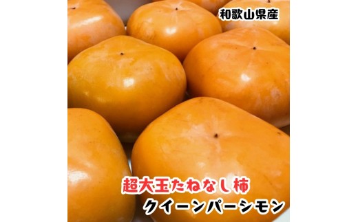 ［柿のふるさと］とっても大きいサイズのたねなし柿 クイーンパーシモン 約4kg 4L～7Lサイズ 青秀以上 ［MS153］