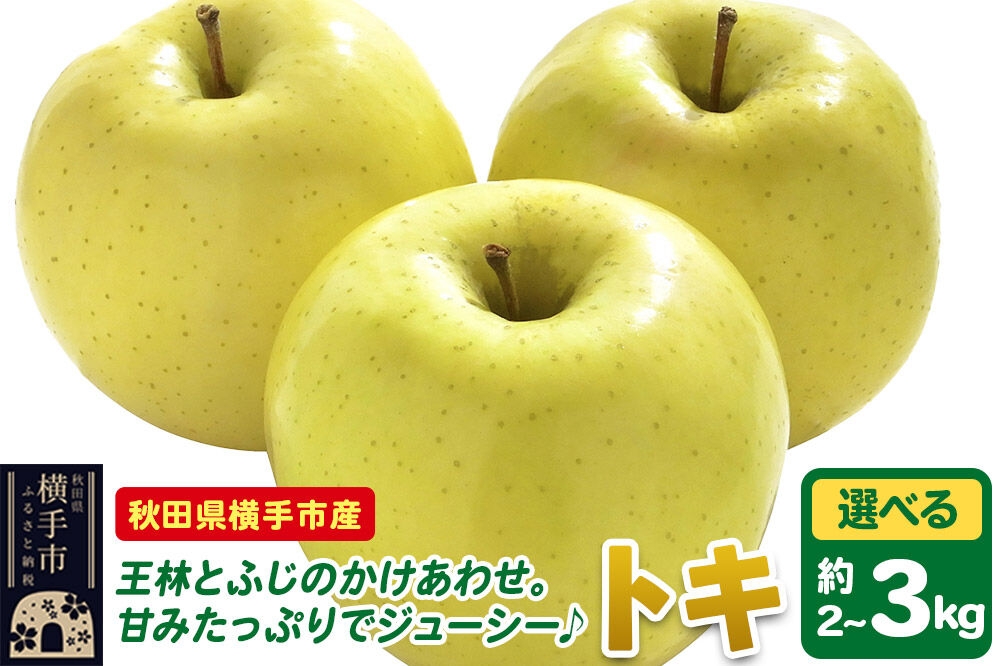 
                  【先行受付 9月下旬より発送】りんご トキ【選べる容量 約2kg／約3kg】 [先行予約 トキ りんご アップル おいしい 果実 果物 黄色 美味 林檎]
                