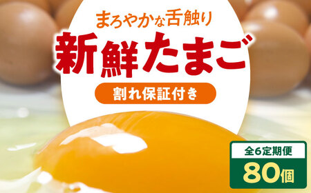 【全6回定期便】平飼い 海草たまご 8パック（80個入り）割れ保証あり 愛媛県大洲市/和田養鶏場 卵 たまご 鶏卵 卵料理 玉子[AGDQ012]
