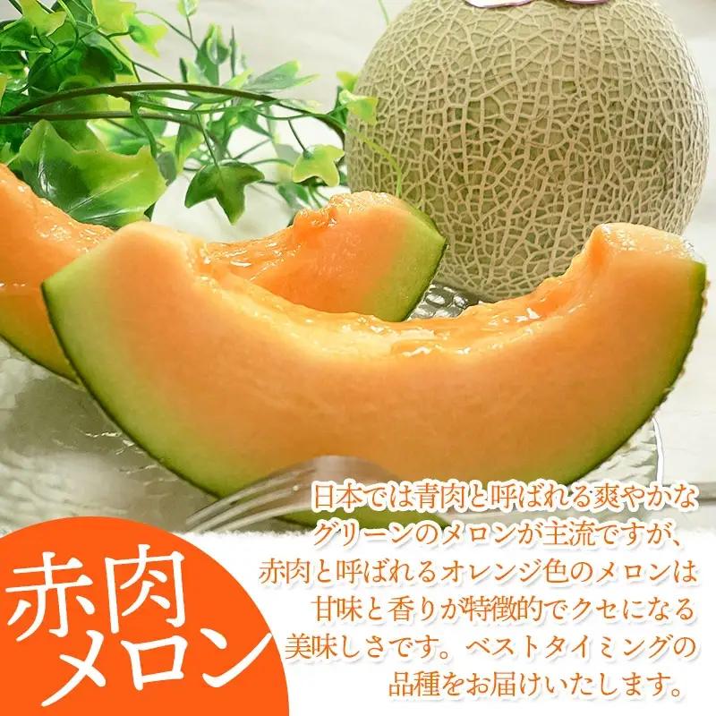 【令和8年産先行予約】 庄内砂丘赤肉メロン 秀品 大玉 約5kg (3～4玉) 山形県鶴岡市産　株式会社 元青果　| メロン めろん フルーツ 果物 くだもの 夏 旬 デザート 産地直送 山形 鶴岡 