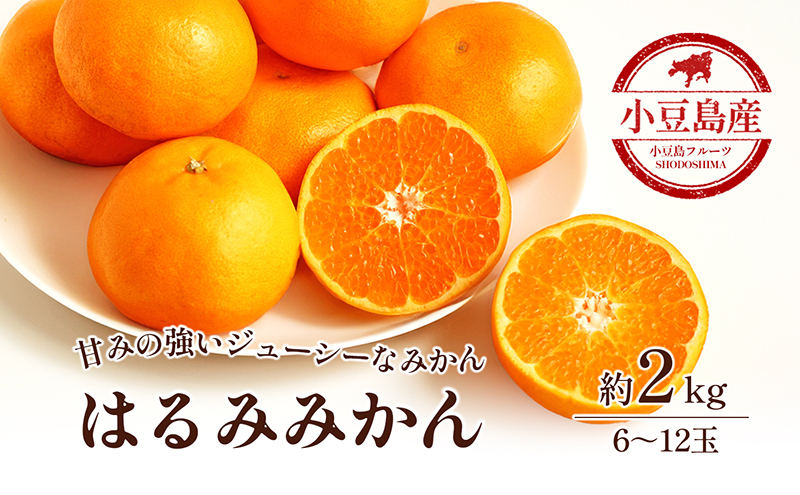 はるみ みかん 柑橘 小豆島 香川県産 瀬戸内 約2kg 6～12玉 はるみみかん ジューシー 甘み ぽんかん 清見 皮が剥きやすい 蜜柑 ミカン 柑橘類 果物 フルーツ くだもの 果物類 果実 生鮮 食品 デザート ギフト 贈答用 五色青果 香川 土庄 香川県 土庄町