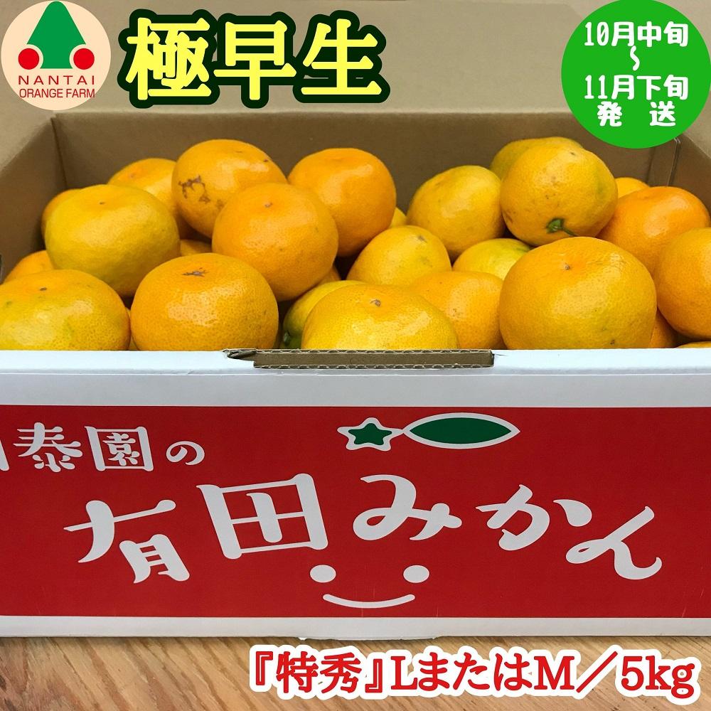 【ふるさと納税】極早生 有田 みかん 特秀 L または M サイズ 5kg 南泰園 和歌山 有田みかん