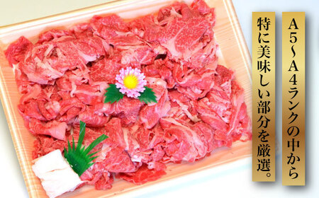 【全12回定期便】【化粧箱入】博多和牛A5～A4 切り落とし 500g《豊前市》【株式会社マル五】 [VCL113]