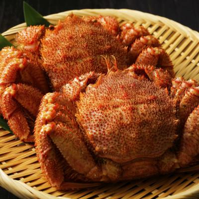 ふるさと納税 枝幸町 漁獲量日本一 枝幸毛がに 2尾セット(約570g×2尾) 北海道枝幸町産 |  | 01