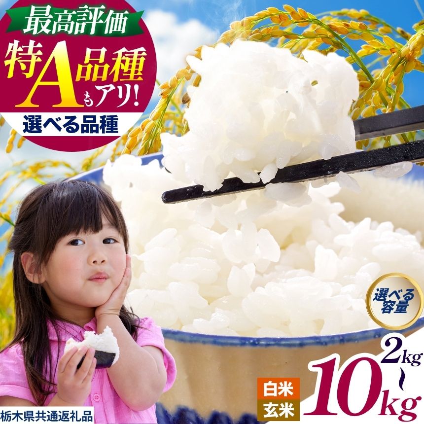 【ふるさと納税】お米 白米 玄米 こしひかり 選べる | 米 こめ コメ コシヒカリ とちぎの星 にじのきらめき ミルキークイーン いちご 農家さん応援米 こしひかり 訳あり 2kg 4kg 5kg 10kg | 数量限定 人気 栃木県 真岡市 送料無料 栃木県共通返礼品