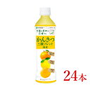 【ふるさと納税】伊藤園　ニッポンエール　国産かんきつ三種ブレンド「400g×24本」【飲料 ジュース かんきつ 温州みかん 晩柑 八朔 ミックス さわやか 甘酸っぱい 長野県 安曇野市 信州】