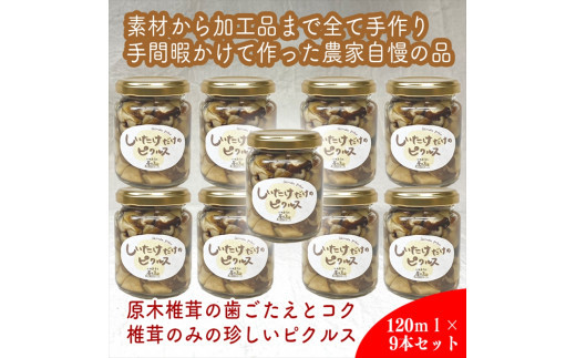 しいたけだけのピクルス 9個セット【 家庭用 自宅用 贈答品 贈答用 ギフト お取り寄せ お中元 お歳暮 贈り物 お祝い 神奈川県 小田原市 】 142069_EZ017