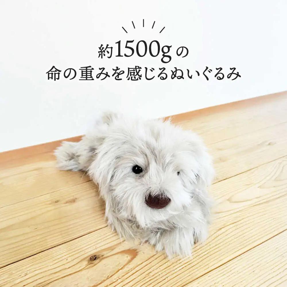 パトランミニ・グレージュ 糸島市 / 科学工房未来 パトラン ぬいぐるみ [AYI008] いぬ 動物