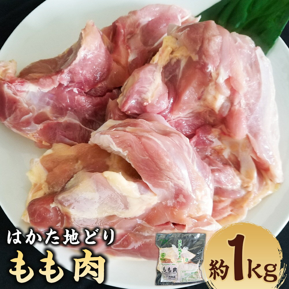 【ふるさと納税】はかた地どり もも肉 約1kg 鶏肉 モモ肉 お肉 博多地鶏 イノシン酸 冷凍 福岡県産 国産 九州 福岡県 うきは市 送料無料