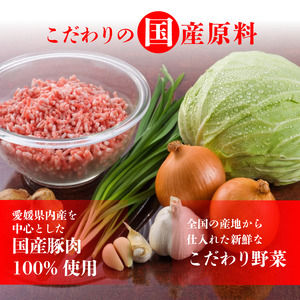 えひめの美味しい厳選餃子 あさの生餃子 もち〇生餃子 セット【5パック 計125個】【ASN003】
