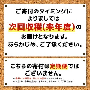 野菜セット 季節の奥久慈野菜 詰め合せセット（春、夏、秋、冬） 特産 詰め合わせ 旬 直送 【野菜セット】【ho1483】