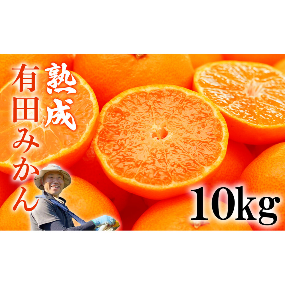 【先行予約】熟成　有田みかん 10kg（約100個）【11月20日以降順次発送】