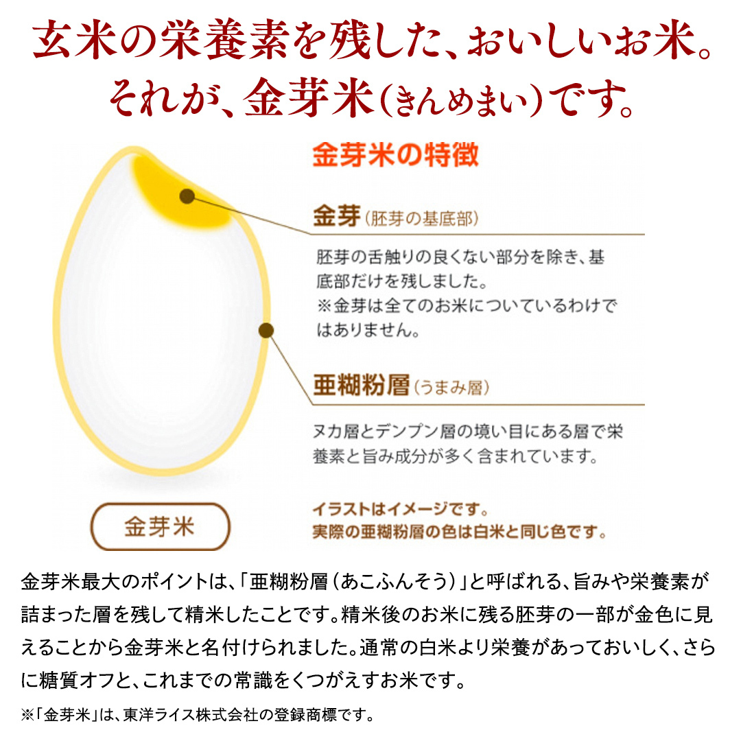 【 金芽米 】＜11月下旬出荷＞ つくばみらい市産 コシヒカリ 5kg × 2袋 ( 計 10kg ) 金芽米 きんめまい 米 お米 無洗米 茨城県 カロリーオフ 低カロリー 東洋ライス 節水 時短 
