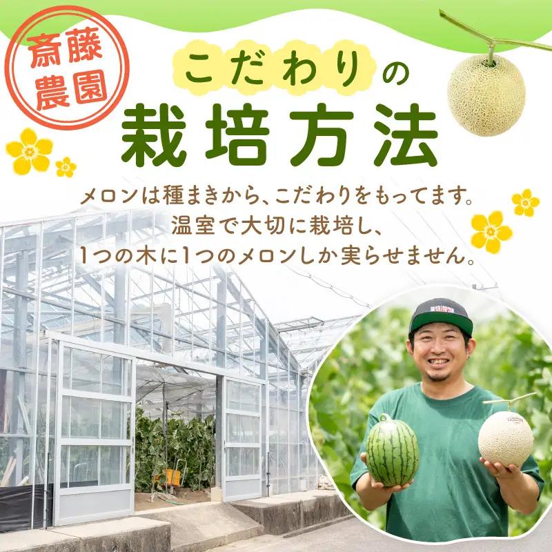 アールスメロン(マスクメロン) 2玉 3kg程度 糖度13度程度≪家庭用≫【配送不可地域：北海道・青森・秋田・岩手・沖縄・離島】【1354】