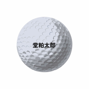 DCB761 NEO TOUR ボール 1ダース | ゴルフ DOCUS ※離島への配送不可  | ゴルフ DOCUS キャディバッグ ゴルフバッグ キャディーバック キャディーバッグ ※離島への配送