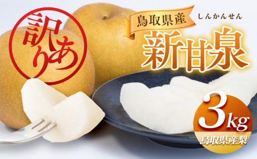 954.【訳あり】新甘泉 3kg（梨）※8月下旬頃～9月中旬頃に順次発送【先行予約 梨 なし 果物 フルーツ くだもの 鳥取県 北栄町 おすすめ 人気 送料無料】