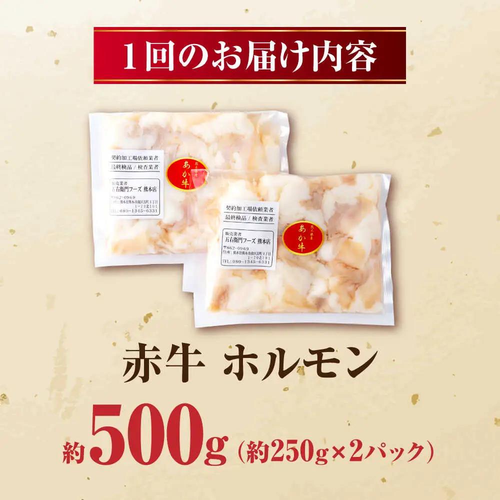 【全6回定期便】 赤牛 ホルモン 500g（250g×2パック） / 小腸 シロホルモン もつ 熊本県産 冷凍[AYBV038]