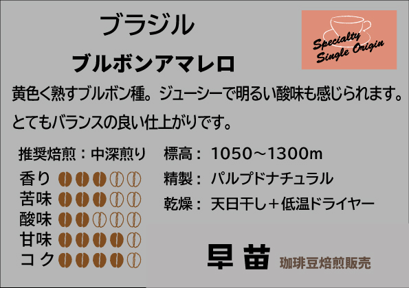 【早苗】焙煎珈琲豆（どっしりとした苦みを味わうセット　3種×各100g）豆