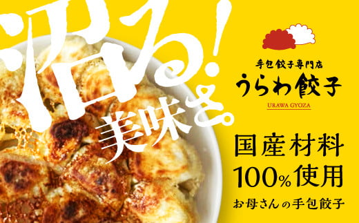 うらわ餃子　レギュラー10個・しそ10個・旨辛10個セット　【11100-0726】