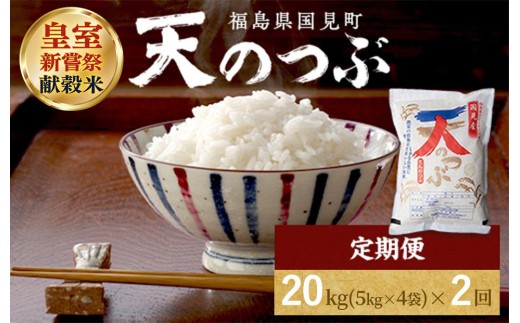 【令和8年産】【全2回定期便】米　国見町産　天のつぶ  20kg（5kg×4袋） 2回定期便 ※2026年10月～発送