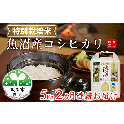 【ふるさと納税】2ヶ月連続お届け 森山農園特別栽培米魚沼産コシヒカリ（新潟県認証）5kg お米 　お届け：寄附入金確認月の翌月より発送