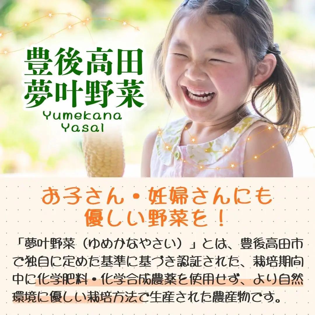 季節の夢叶 夏野菜 (ゆめかななつやさい) ボックス | 夏野菜 豊後高田市