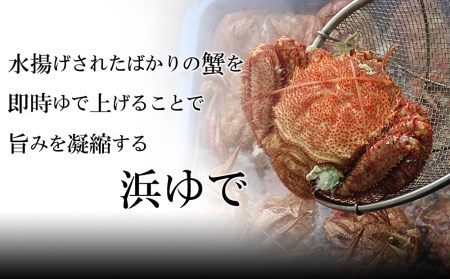 毛ガニ 冷凍 1尾 (420-460g前後)・ ホッケ 1枚・ 訳あり イクラ 100g セット AS164
