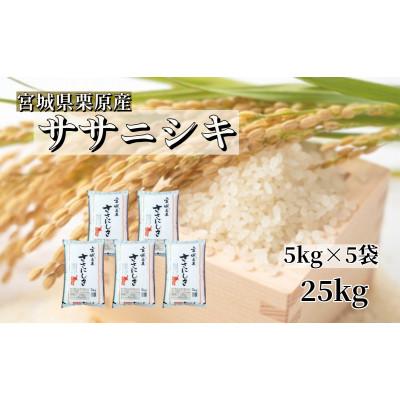 ふるさと納税 栗原市 【令和7年産】宮城栗原産 ササニシキ 白米25kg (5kg×5袋)