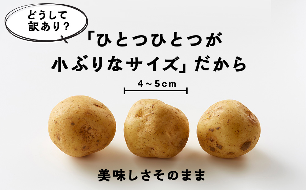 北海道産 じゃがいも 訳あり 5kg