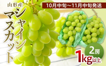 山形のぶどう シャインマスカット 1kg以上(2房)[10月中旬～11月中旬お届け]【令和8年産先行予約】FS24-574 くだもの 果物 フルーツ 山形 山形県 山形市 2026年産