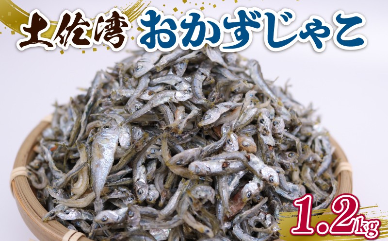 
                  土佐湾 おかずじゃこ 1.2kg | 300ｇ×4パック 小分け 冷凍配送 お取り寄せ 国産 おかず チリメンジャコ シラス丼 惣菜 ご飯のお供 加工品 海の幸 グルメ 食品 魚介 小魚 鮮魚 海鮮 ちりめんじゃこ いわし 鰯 おつまみ ふりかけ 離乳食 人気 ふるさと納税しらす 産地直送 高知県 南国市 
                