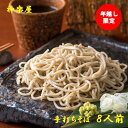 【ふるさと納税】 そば 【 年越し 限定 】 手打ち蕎麦 (そばつゆ＆薬味付き) 8食分 【12月29日 or 30日発送】 事前予約 大晦日 年越し 正月 年末年始 年越しそば 蕎麦 お蕎麦 生そば 玄そば 二八 宮田醤油店 夏油 自家栽培 つゆ 付き 岩手県 北上市 和賀町 神楽屋 年内発送