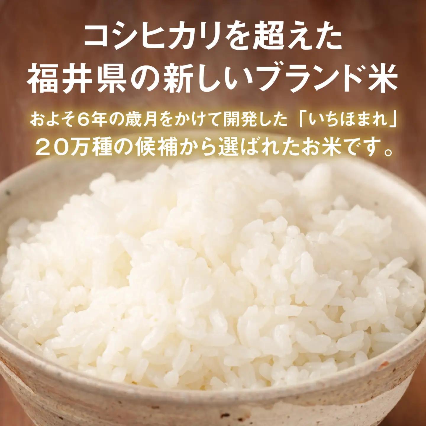 令和7年産 いちほまれ 精米 5kg(5kg×1袋) ブランド米 白米 [A-014002]