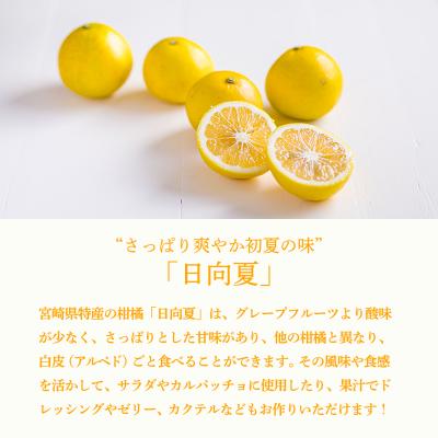 ふるさと納税 高原町 さっぱりと爽やかな宮崎ならではの味『日向夏』の手搾り果汁1L(業務用) TF820 |  | 02