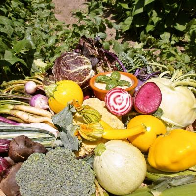 ふるさと納税 神埼市 年間定期便12回 バーニャカウダ野菜セットラージ 16品 (H078122) |  | 02