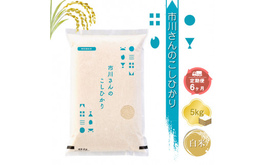 【令和7年産・白米5kg×定期便6カ月】特別栽培米 市川さんのこしひかり （2025年11月出荷開始予定）先行予約 新米 信州【 コシヒカリ お米 新米予約 長野県 佐久市 】