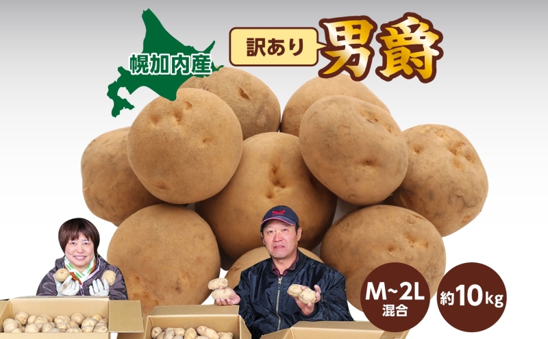 北海道産 訳あり じゃがいも 男爵 M～2L 約10kg ジャガイモ 馬鈴薯 ポテト キタアカリ 芋 いも イモ 旬 冬 農作物 訳アリ 規格外 家庭用 北海道 お取り寄せ 産地直送 笠井ファーム 送