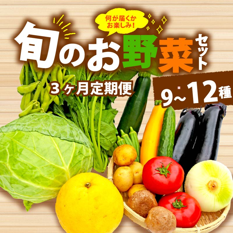 【ふるさと納税】 全3回 定期便 野菜 詰め合わせ おまかせ 9-12種 旬 やさい お野菜 まんさいかん ボックス おすすめ 新鮮 季節 農家直送 産地直送 地元 特産品 食材 健康 栄養 サラダ 料理 食卓 家庭用 朝食 夕食 食生活 野菜セット 野菜ボックス ベジタブル 藤枝市 静岡県