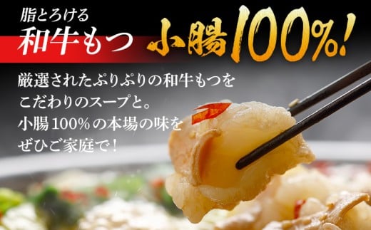 和牛もつ鍋10人前セット