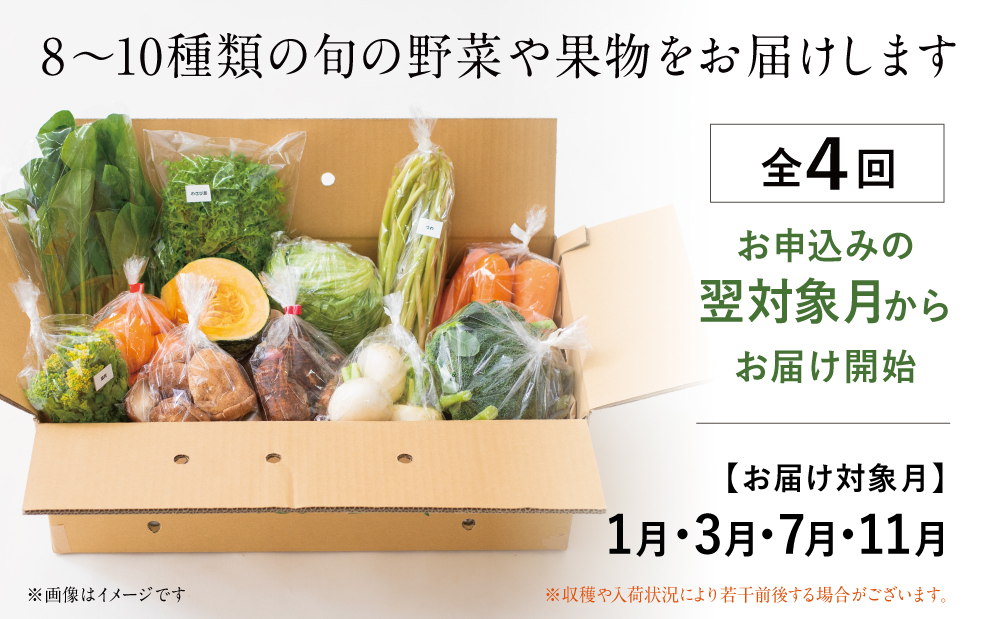 【全4回 定期便】鹿児島県産 南の大地で育てられた旬の野菜定期便 セット 詰合せ 鹿児島 エスランドル 野菜 お野菜 野菜BOX 旬 果物 フルーツ 定期配送 南さつま市