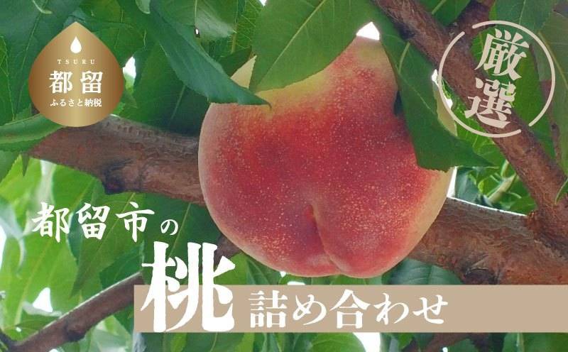 【2026年先行予約】都留市産　厳選　桃　詰め合わせ GV001