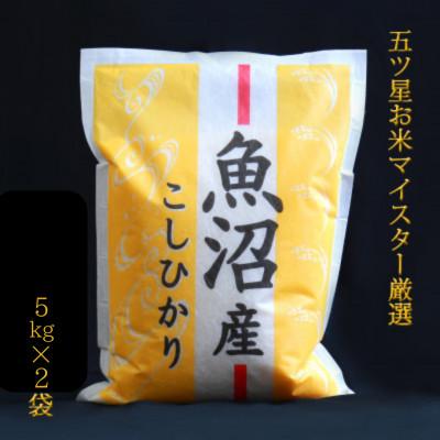 ふるさと納税 魚沼市 五つ星お米マイスター厳選 無洗米北魚沼産コシヒカリ 10kg(5kg×2袋)
