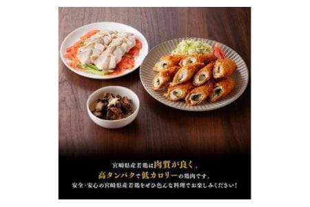 鶏肉 【宮崎県産若鶏3種】ささみ・むね・レバー6.5kg 小分け 鶏肉
