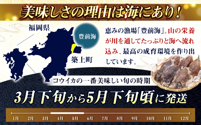 地域おこし協力隊OBの漁師が、築上町の海の幸をお届けします。