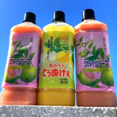 
                  グァバ&島みかんジュース　3本セット
                