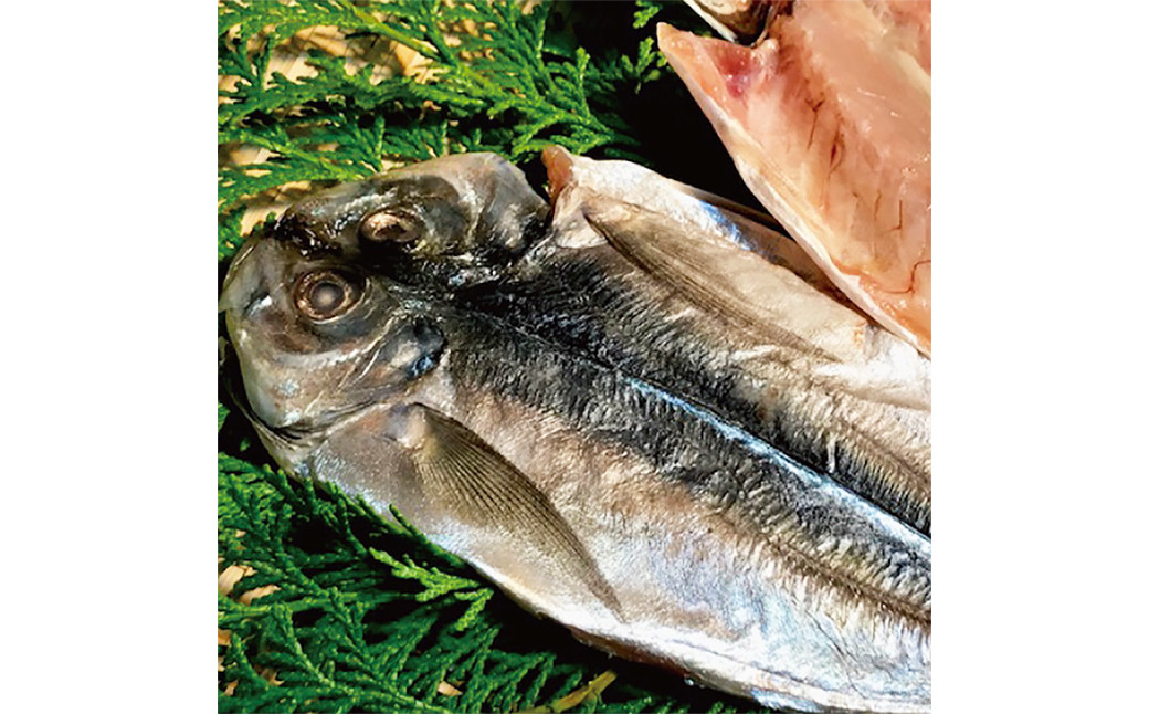 
            一夜干しざんまいセット ／ 干物 ひもの 魚介 海鮮 海産物 真空パック おかず おつまみ 長崎県 長崎市
          